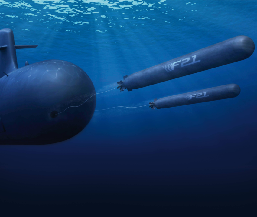 F21 Torpedo: French Navy’s First Live Firing Success